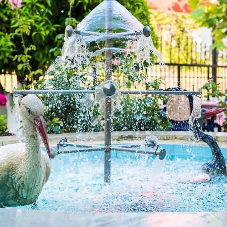 Elena Apartments Kanali  Dış mekan fotoğraf